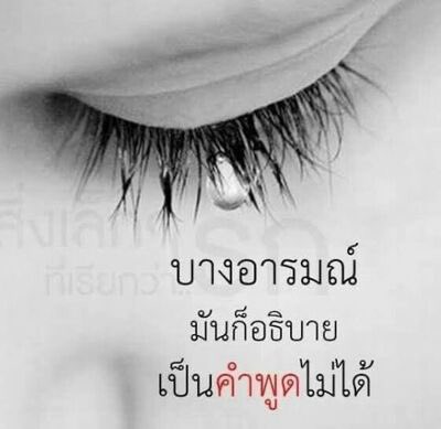 ชมพู tweet media