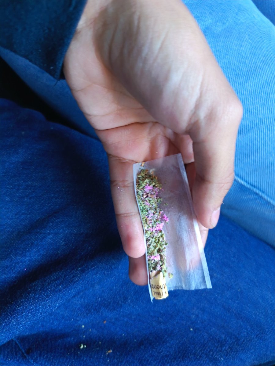 Alexanderizo tweet media