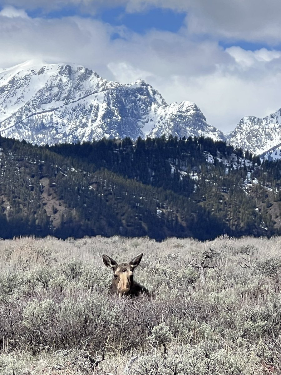 FinalFame tweet media