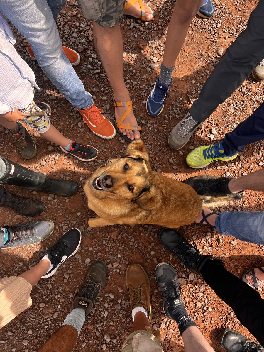 BitcoinWalk ⚡️ tweet media