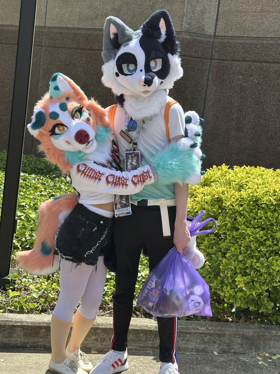 Hyrjaa's tweet photo. Bewhiskered photo dump! Lost an eyelid lol 

Peachy Aussie made by @oops_cry 
White and black mutt made by @ThePrizeCounter 
And the other two suits made by @FILFUR2017 

#bewhiskered #bws26 #furry #fursona #furcon https://t.co/bZ4KhAWtK6