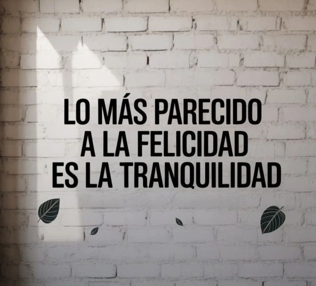 delsa_obiang's tweet photo. https://t.co/1Es1tJZDP2