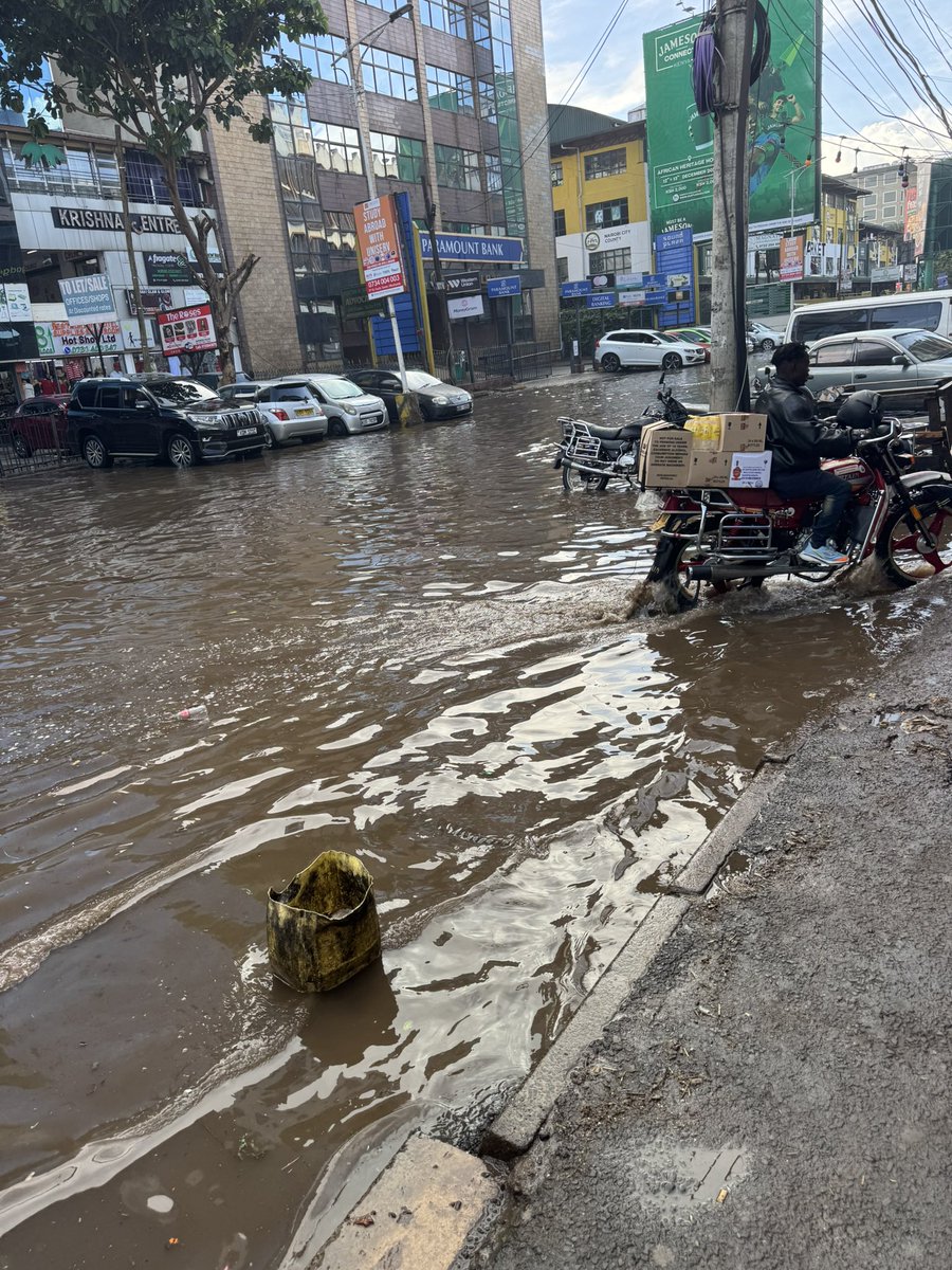 Bonnie Mwangi, CPA, LLM, MBA tweet media