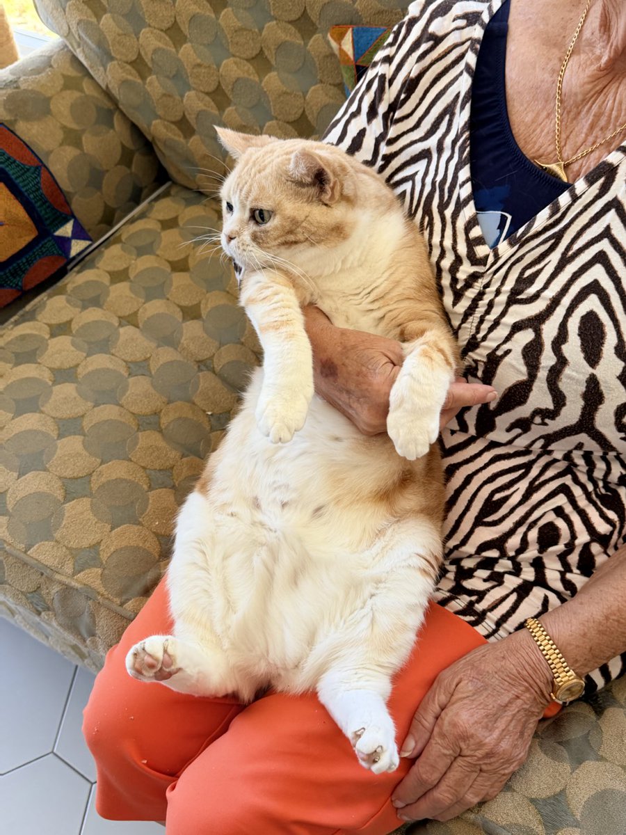 Lesley 🇧🇲 tweet media