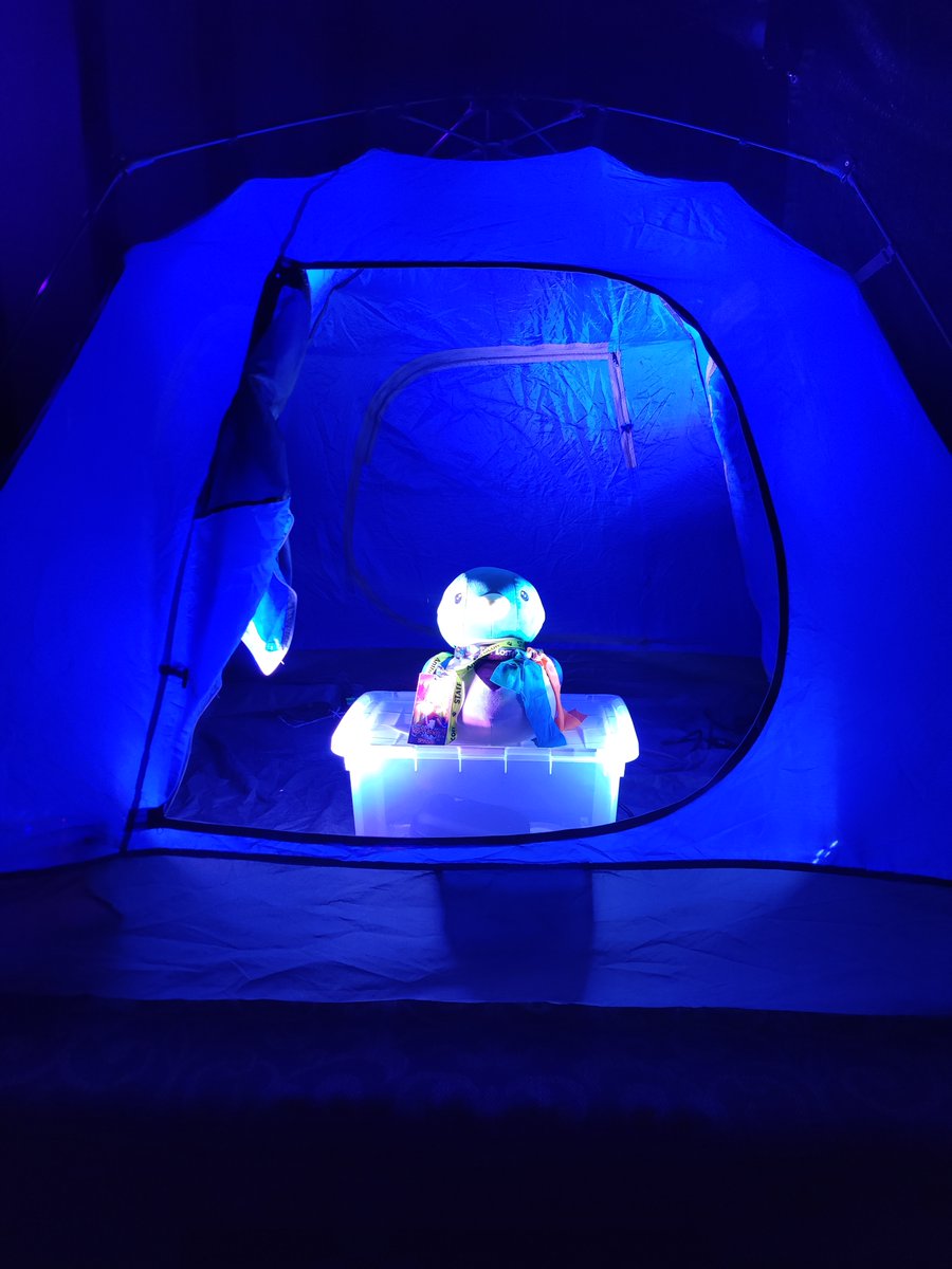 Noctfurnal Events - MICHIGAN tweet media