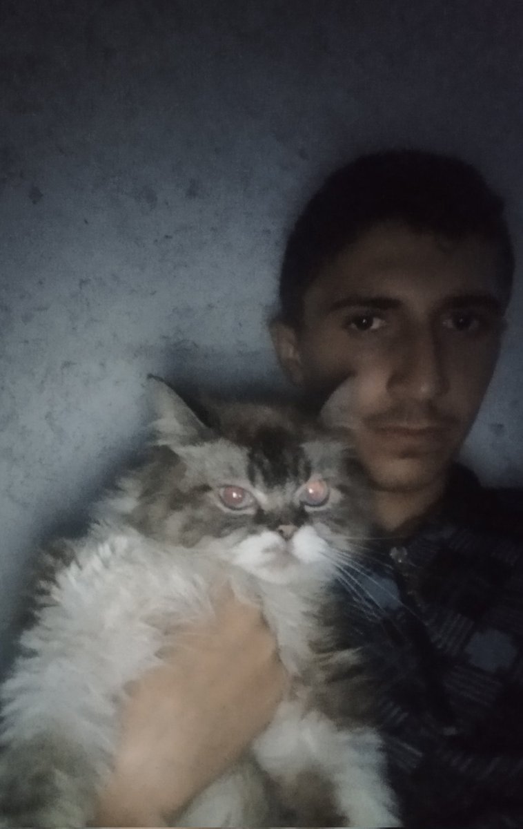 ‼️Please don't pass‼️
 I say this with a heavy heart I cant take it anymore Everything is getting worse prices are rising buying food is becoming more difficult than before and Queen needs nutrition Please help me I dont want the situation to get any worse
chuffed.org/project/168196…