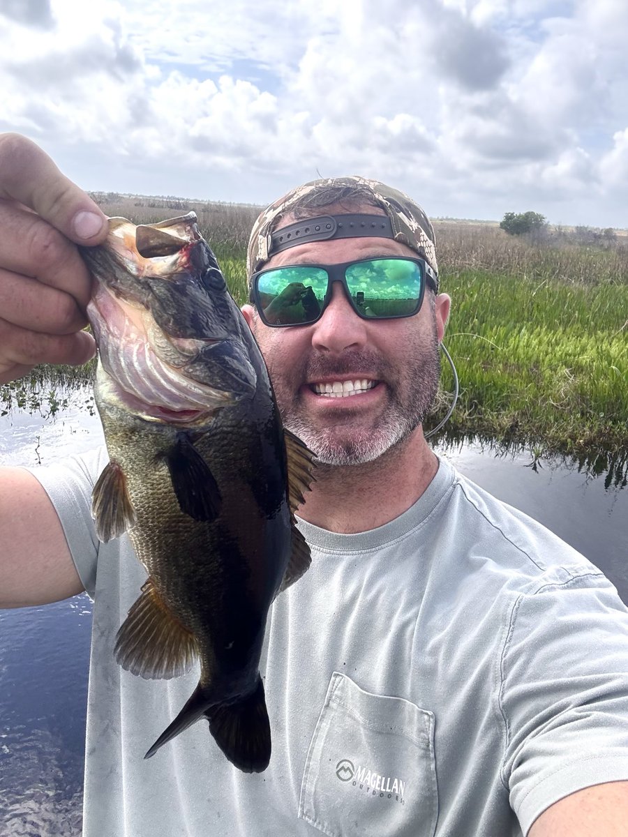 dadbodfit tweet media