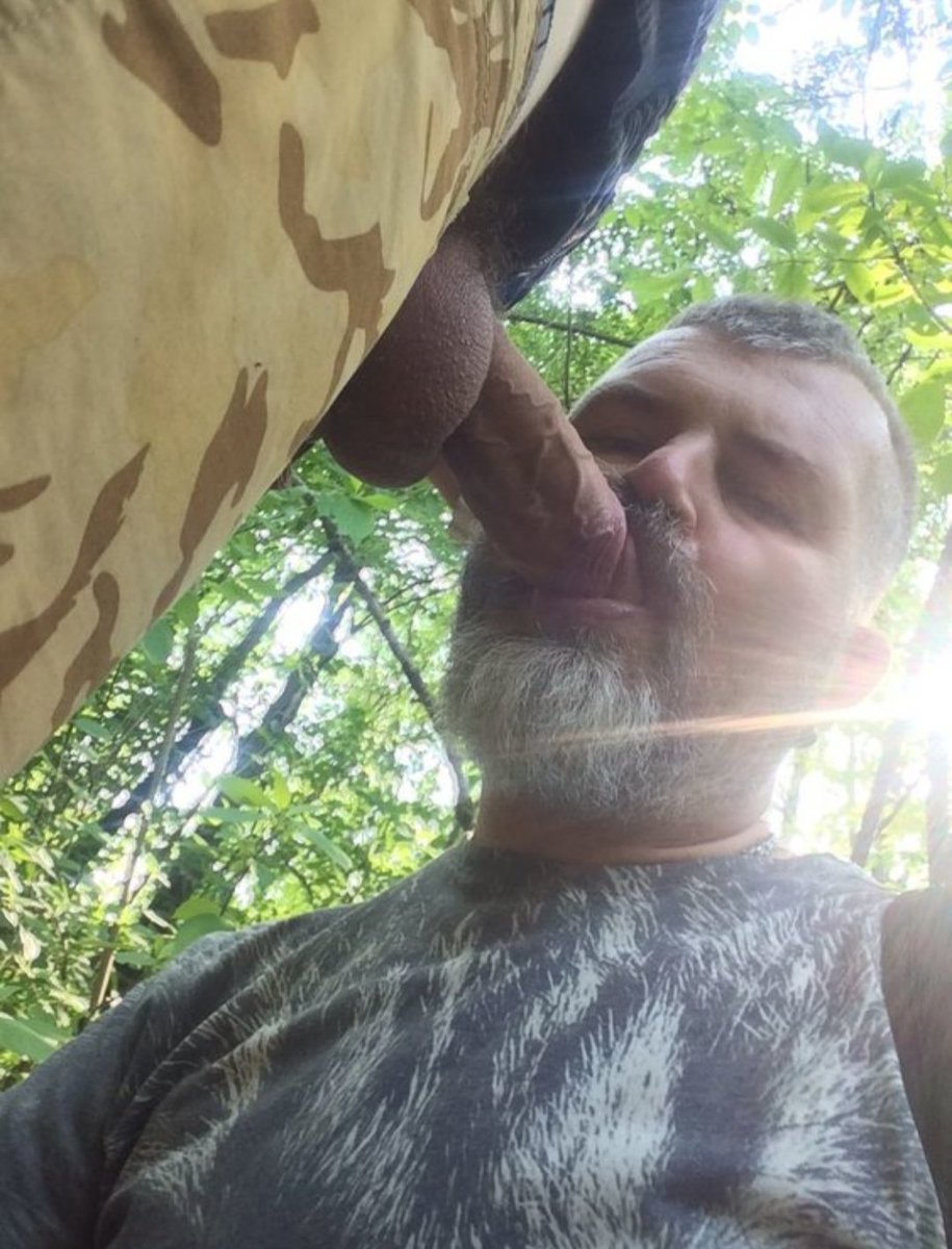 cocksucker bear tweet media
