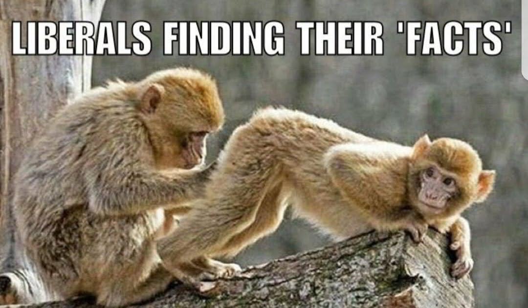 Founding Son tweet media