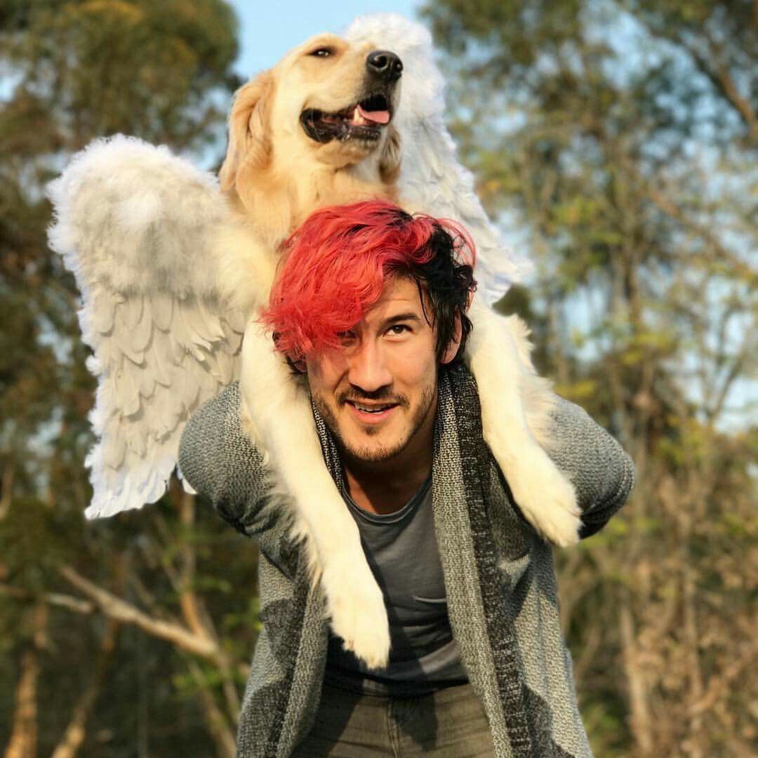 𝕖𝕝𝕤𝕚𝕖 ⋆⁺₊⋆ ☾ ⋆⁺₊⋆ ☁︎ tweet media