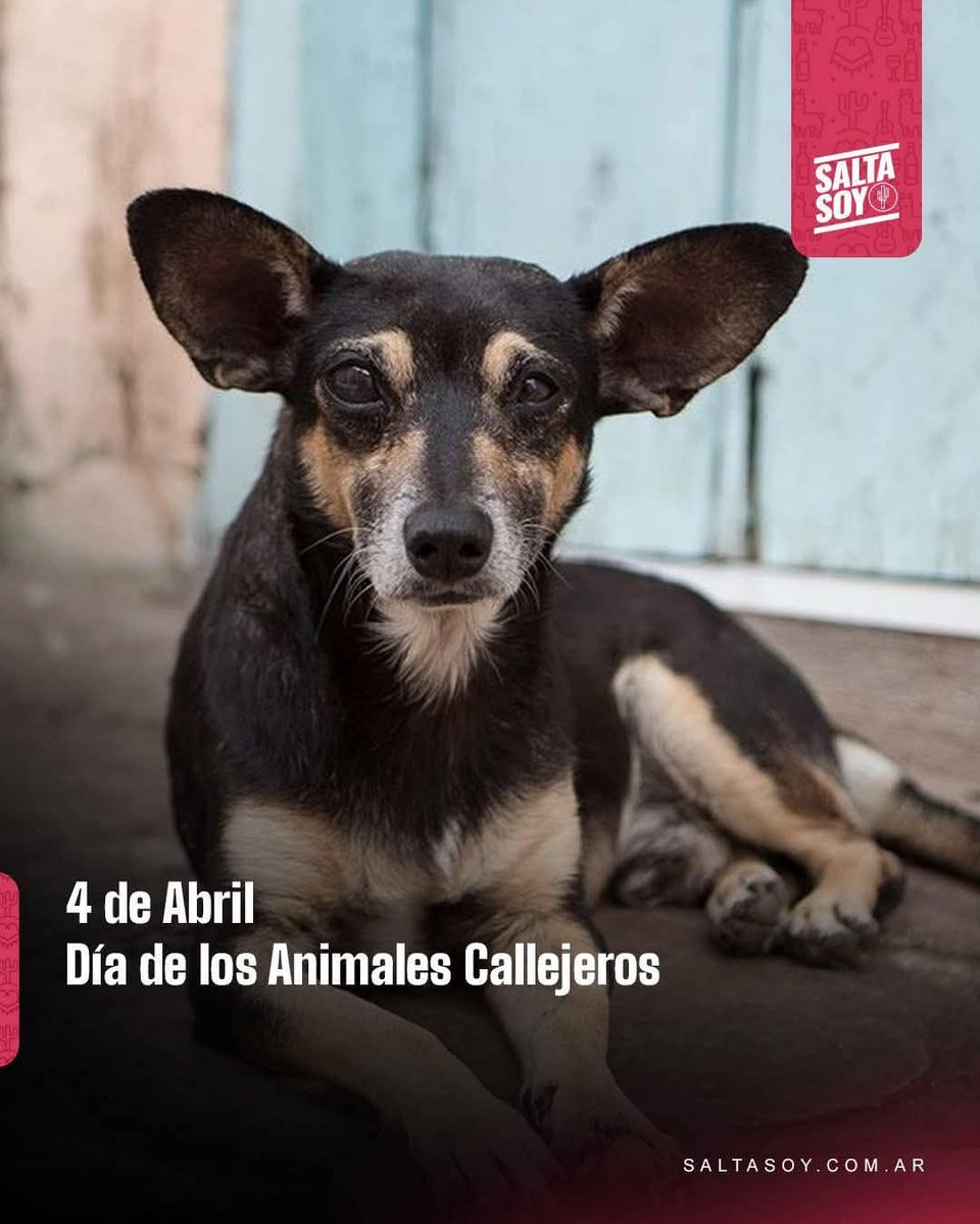 Jose Eugenio Garavito tweet media