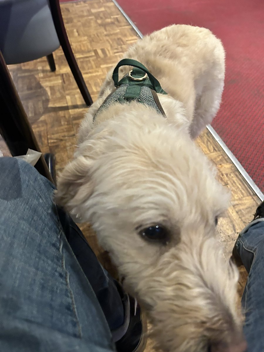 I Like The Technicals. tweet media