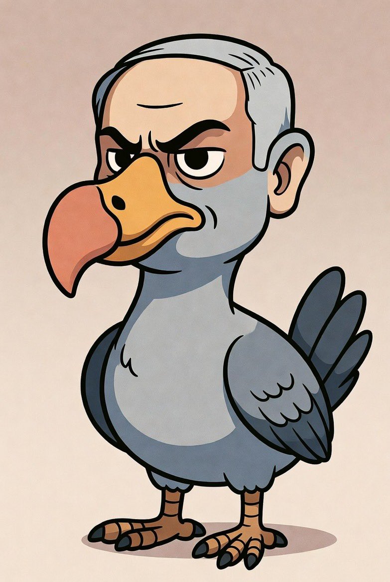 Gyll King Post Skip Diplomacy tweet media