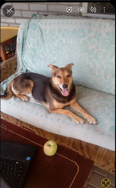 Тата tweet media