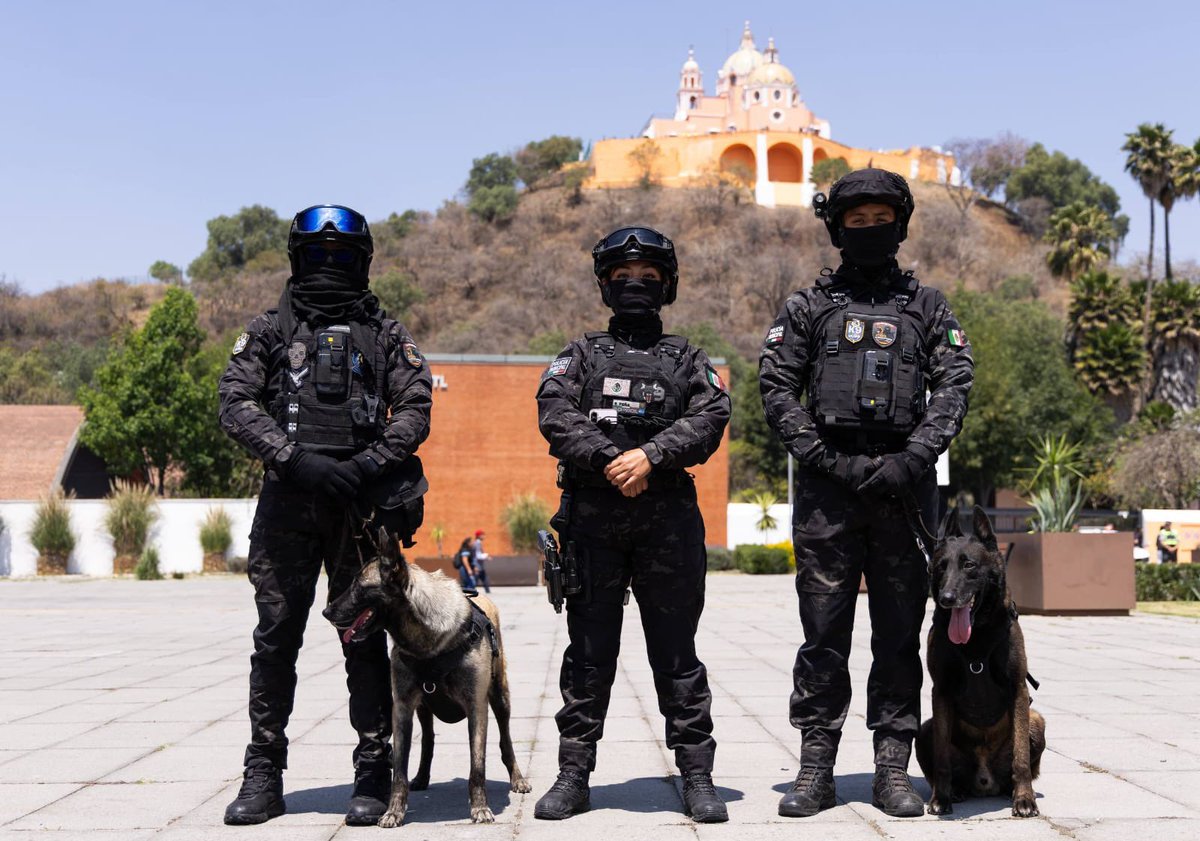 SSPPC San Andrés Cholula tweet media