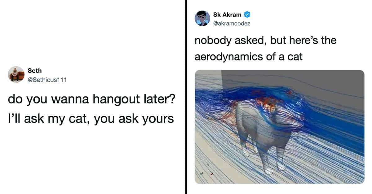 Texts From Last Night tweet media