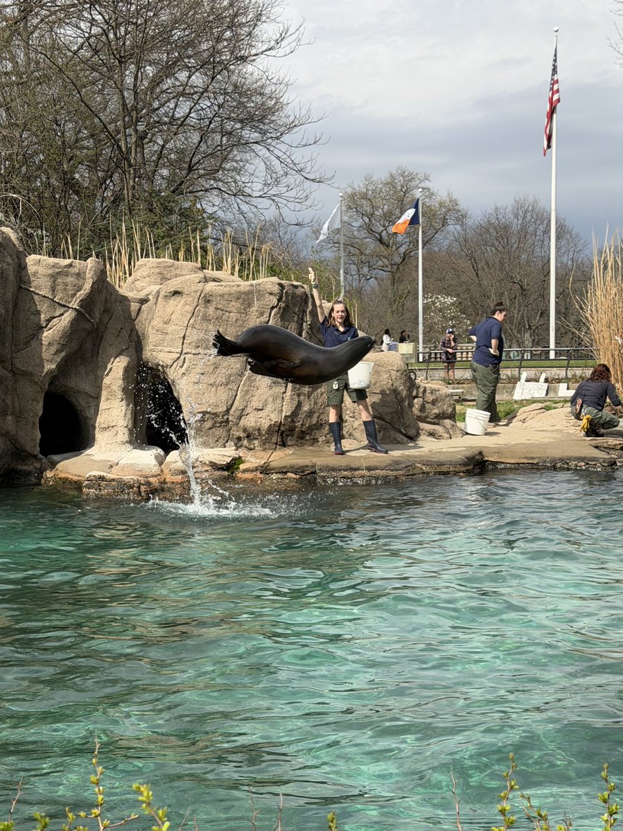 antifa🔻girlfriend tweet media