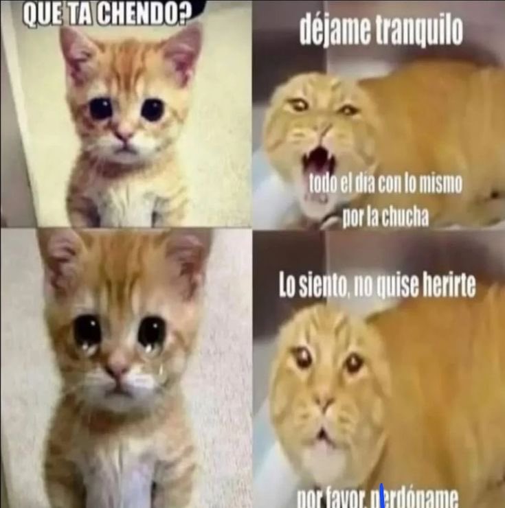 helen ⛧ tweet media