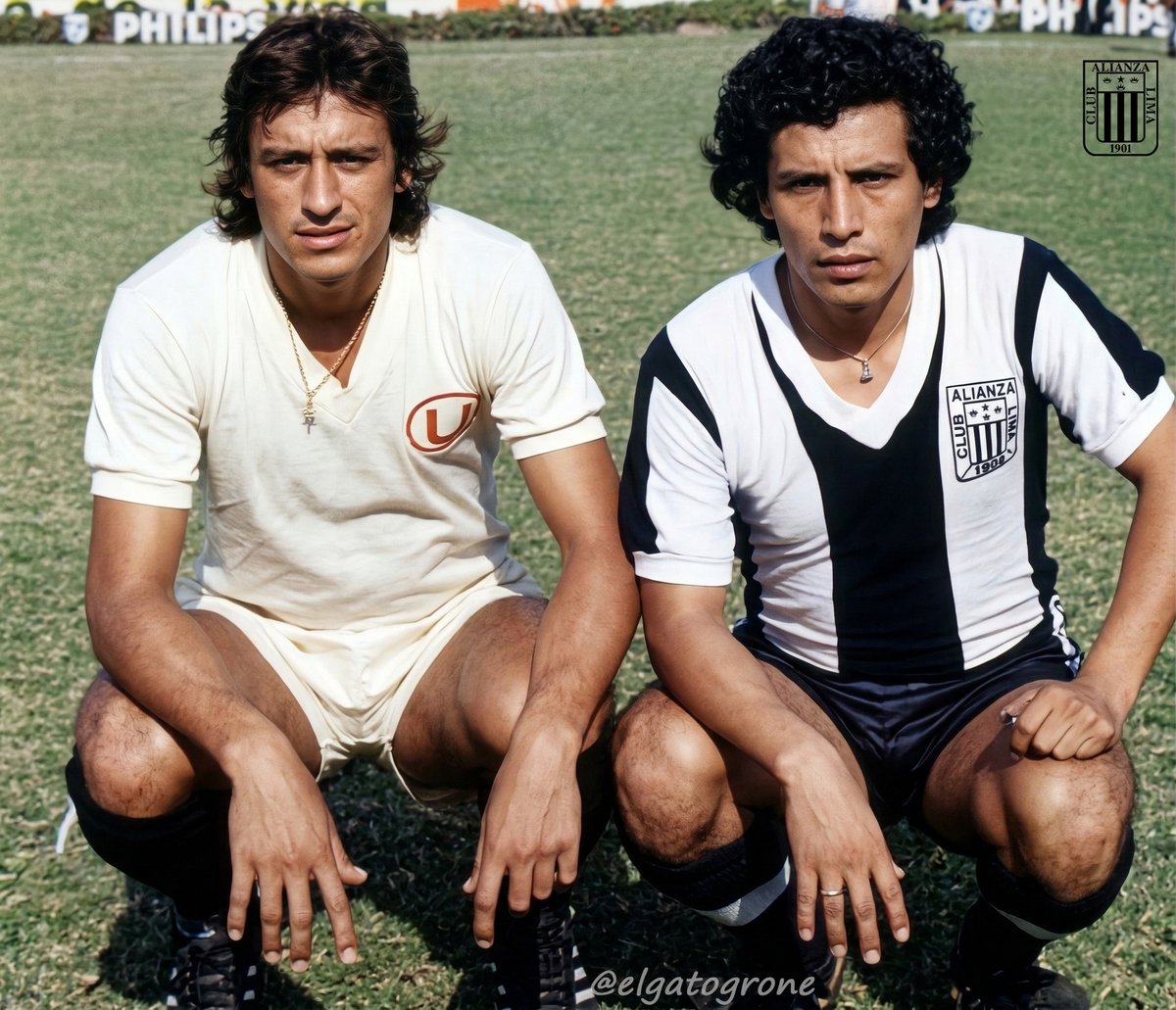 El Gato Grone tweet media