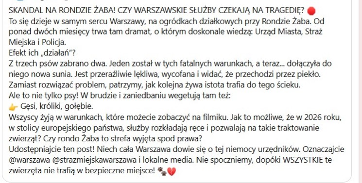 Robwalka Wolf tweet media