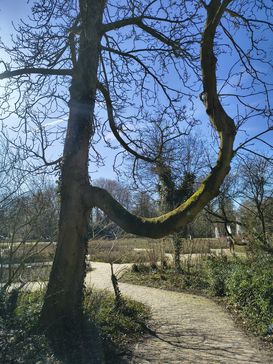 YLB_CR / Henri V, Le Grand Monarque tweet media