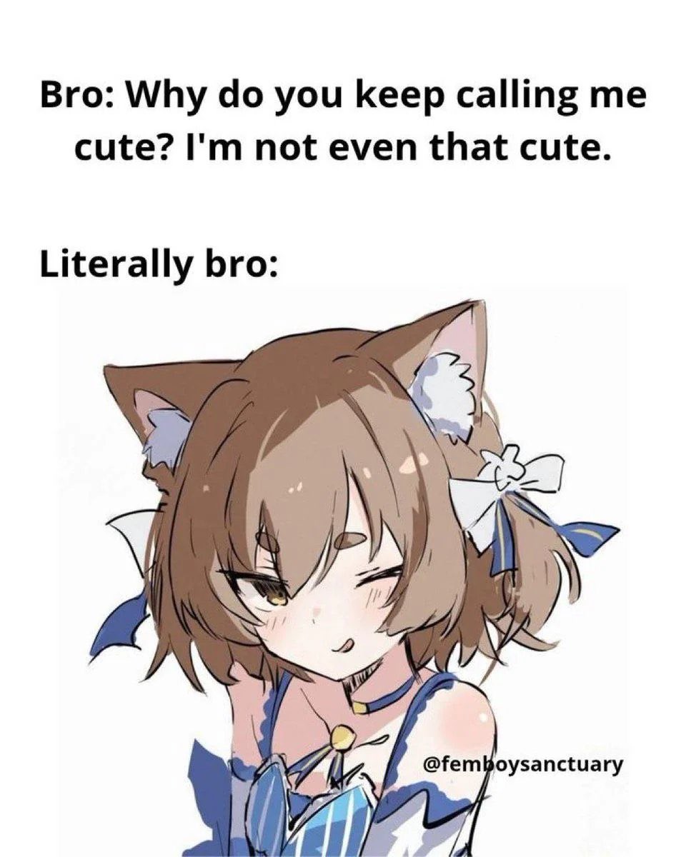 Polynomos 🌑🐦‍⬛ tweet media