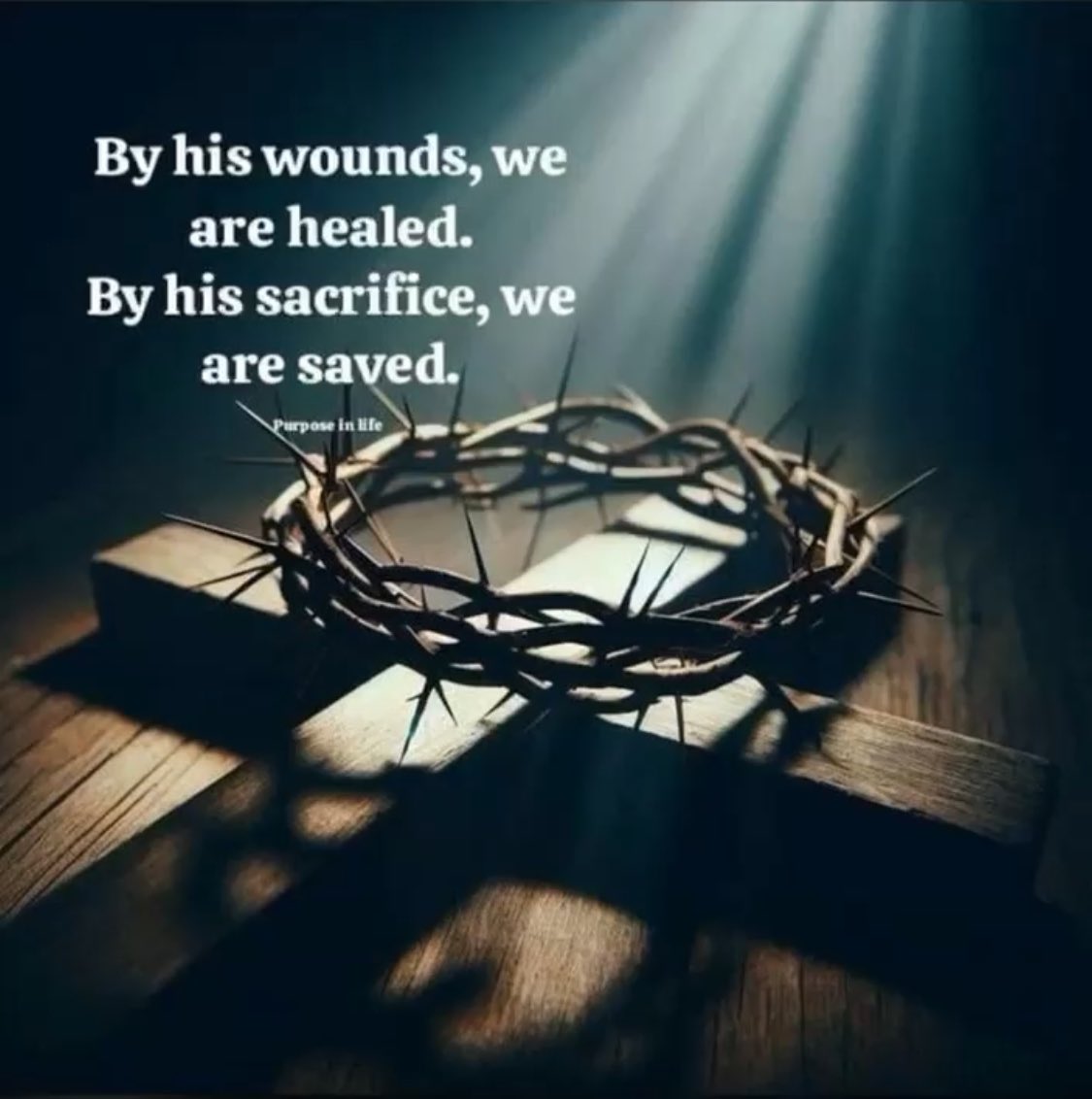 May-Lux✨✨ tweet media