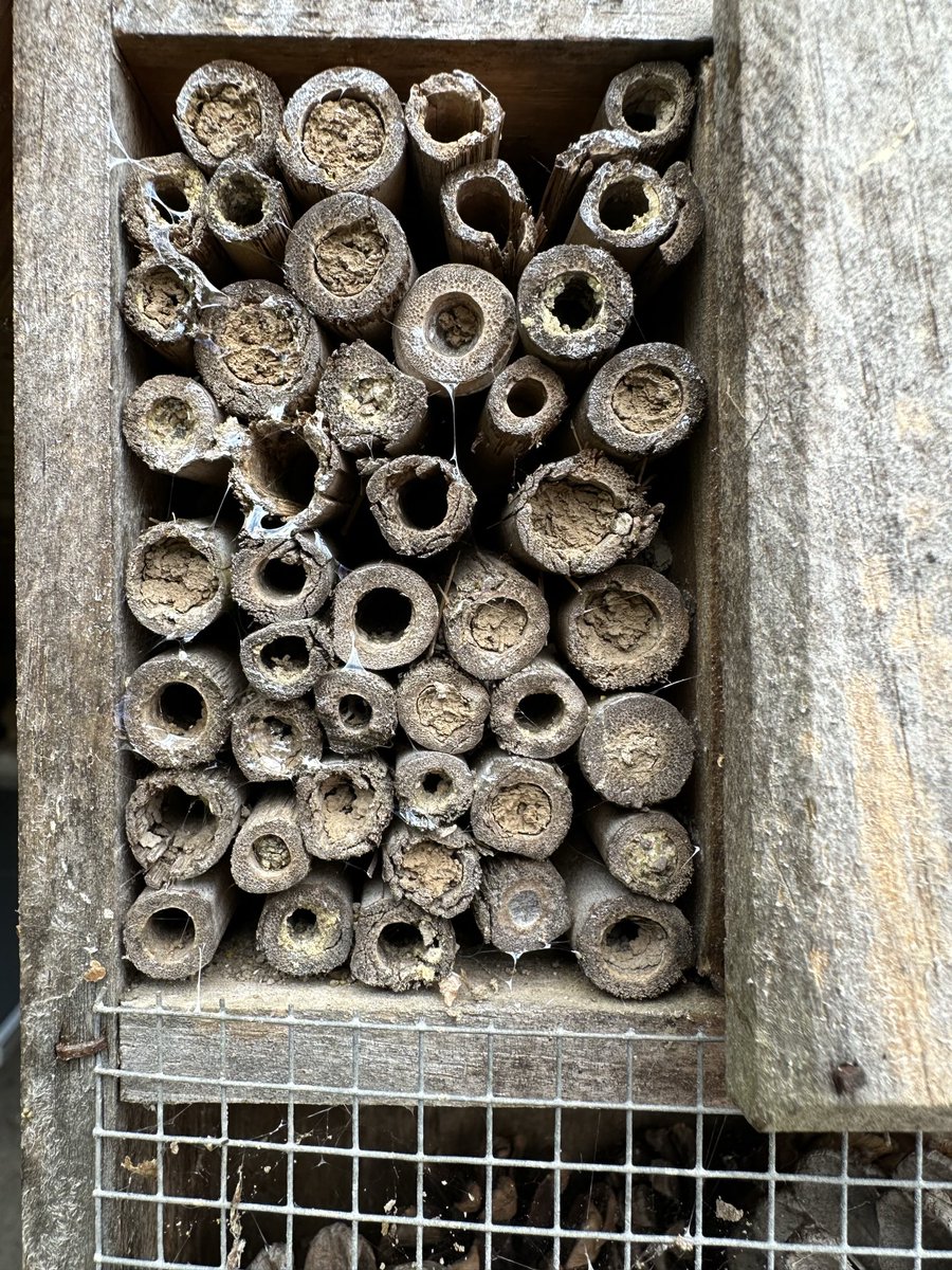 Tom Scott tweet media