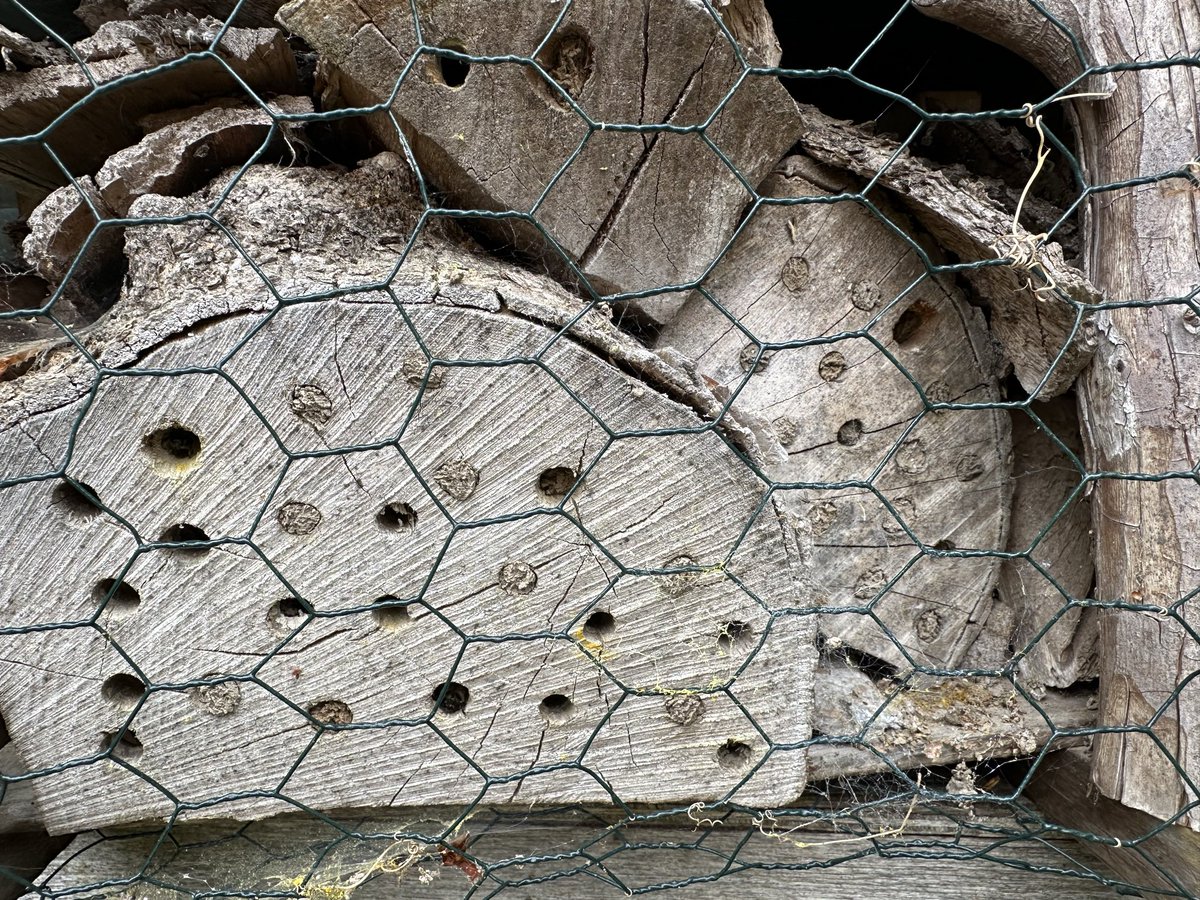 Tom Scott tweet media