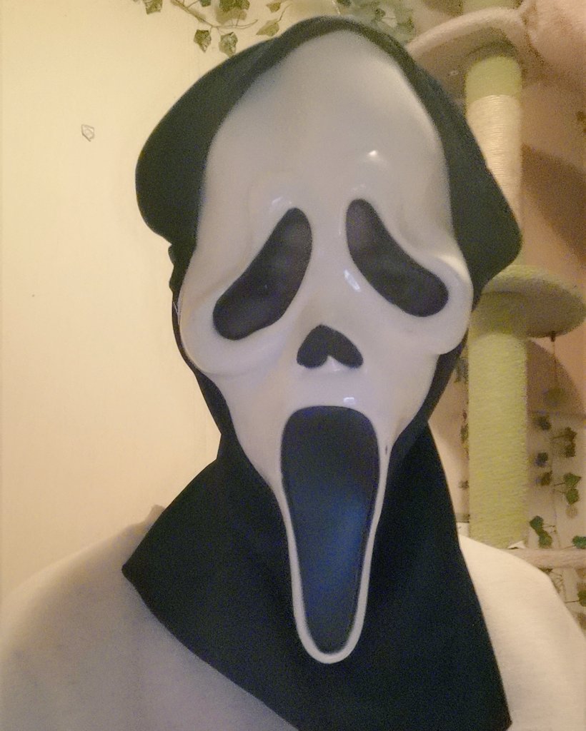 roza! ☪ ¹⁶⁴⁴ tweet media