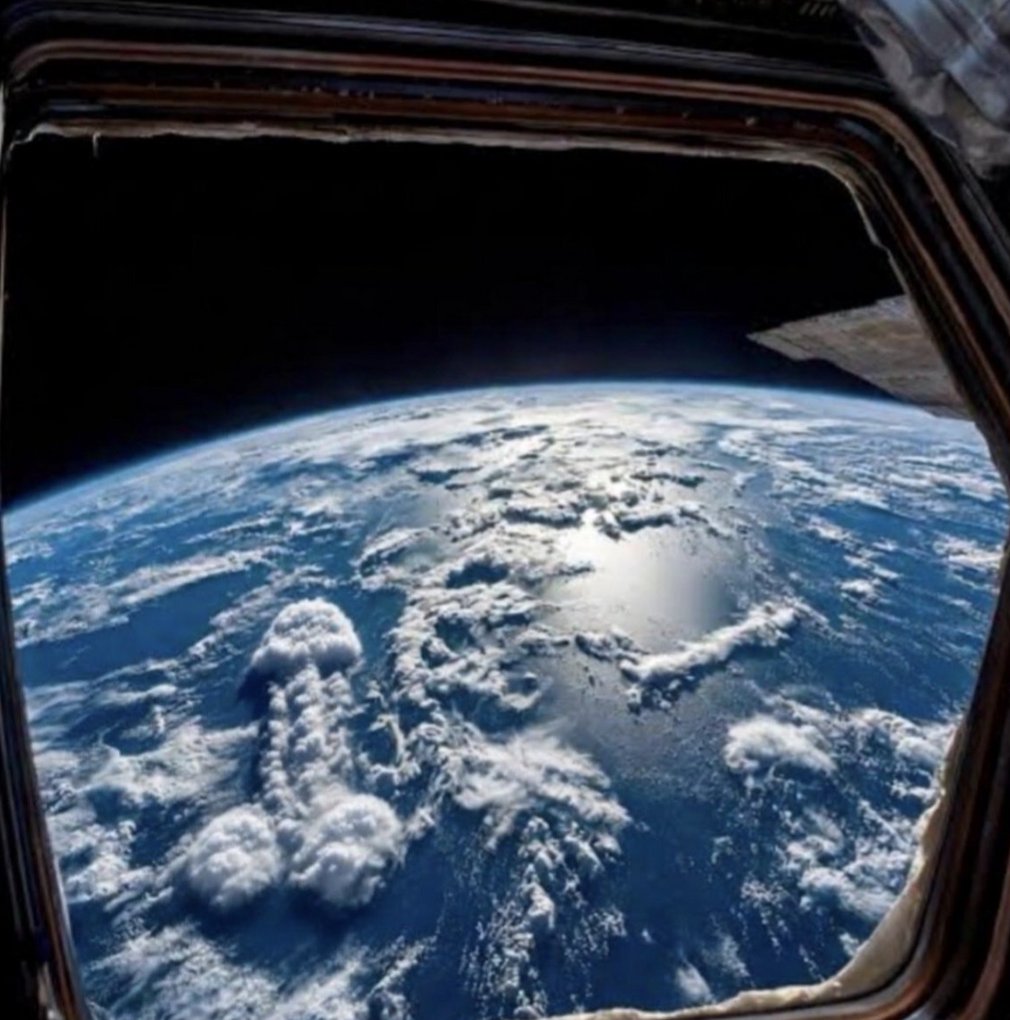 FLAT OUT TRUTH tweet media