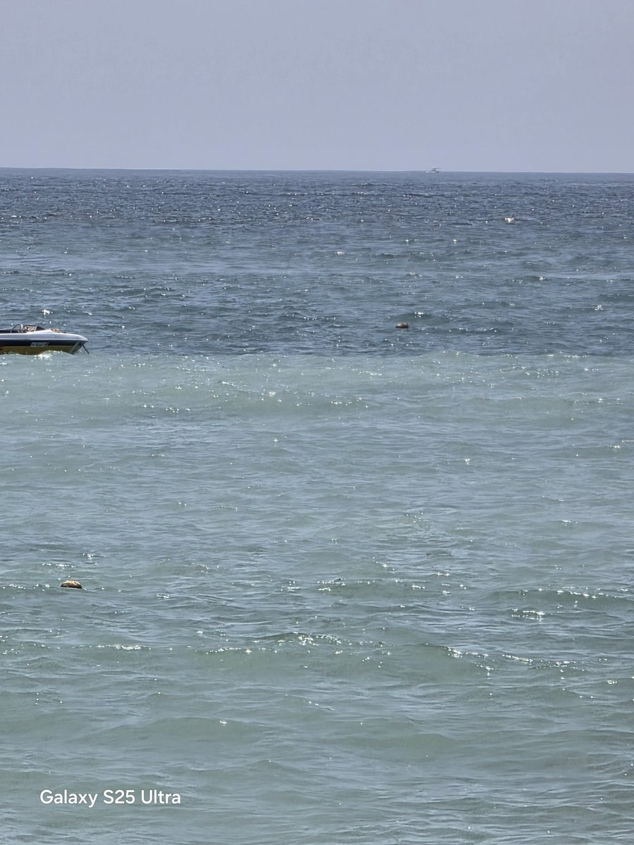 sofiaygerardo tweet media