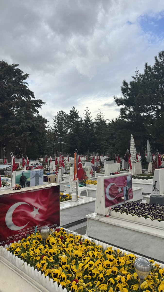 ülkenin dört bir yanında terörist bir piçin doğum günü kutlanıyor.bir kere daha kutlanamayacak binlerce doğum günlerimiz var. kalbinizdeki intikamı uyutmayın!
