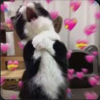 ex_bi_archive tweet media