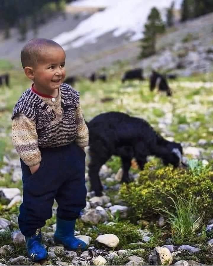 “asla bir seçenek olma.

   ya öncelik ol ya da yalnız kal…”
   .