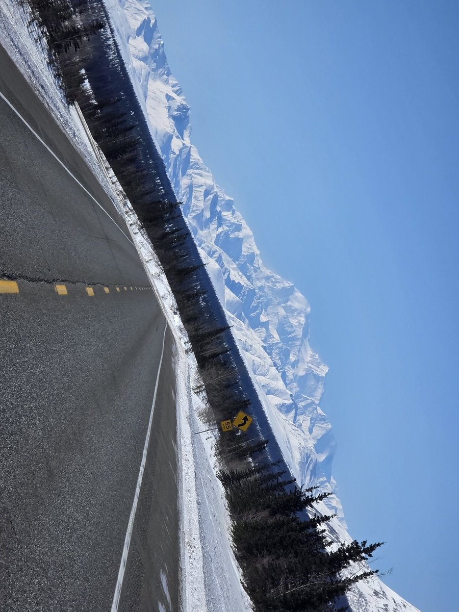 Shane Starrett tweet media