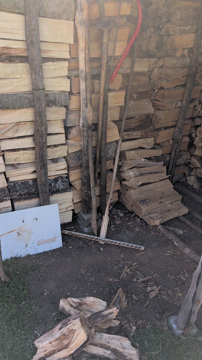 Ixaraixons tweet media