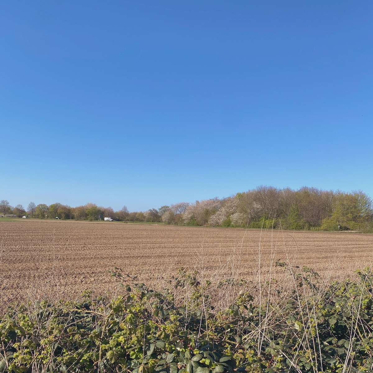 aylin ‧₊˚ 💋 ‧₊˚ tweet media