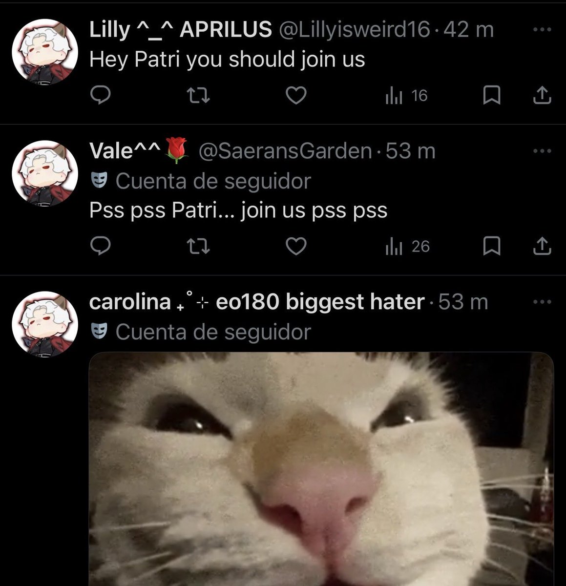 Patri 🐦‍⬛ @ Aprilus! .☘︎ ݁˖.(੭ˊᵕˋ)੭🎂 tweet media