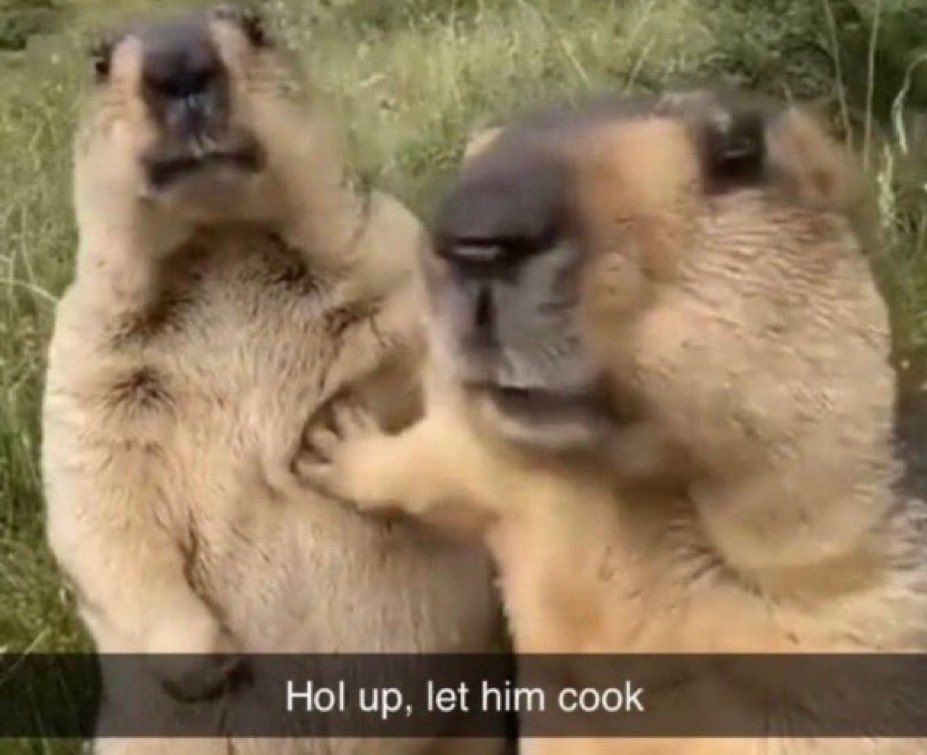 ₿⚡ Jacket tweet media