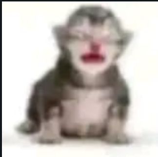 /downeando tweet media