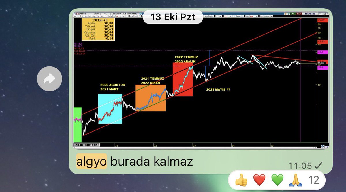 🇹🇷BOZOKBEY🇹🇷 tweet media