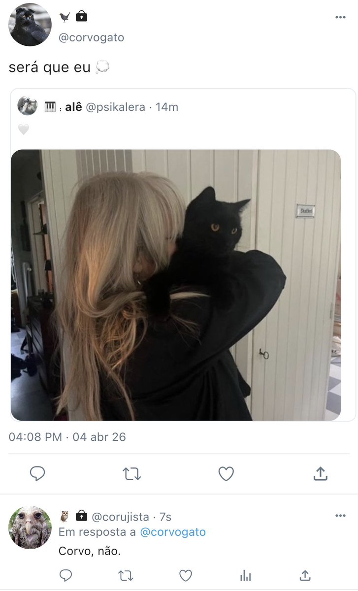 bagi ℘ | jurídica pássaros tweet media