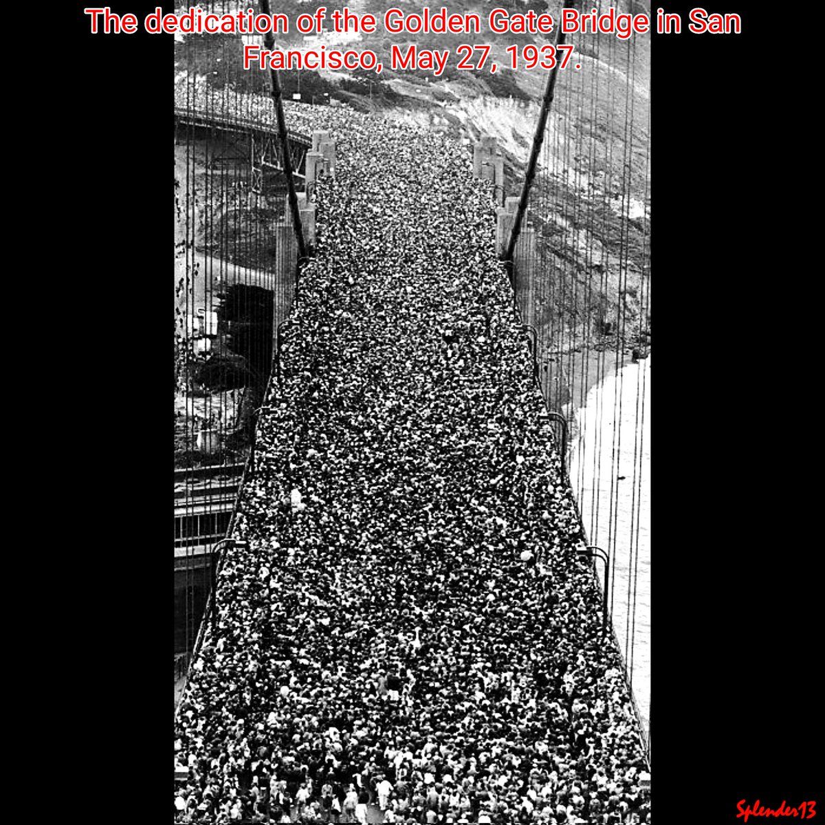 Gena Splender tweet media