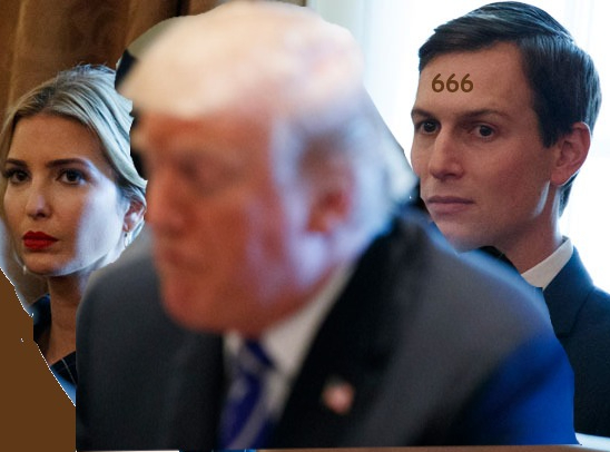 Patrick McClellan tweet media