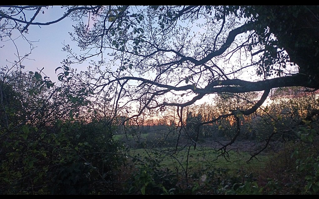 Laurence Czt tweet media