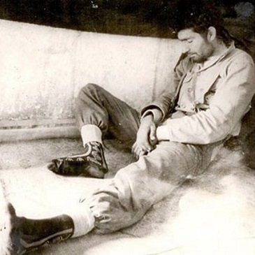 امید ملایی tweet media