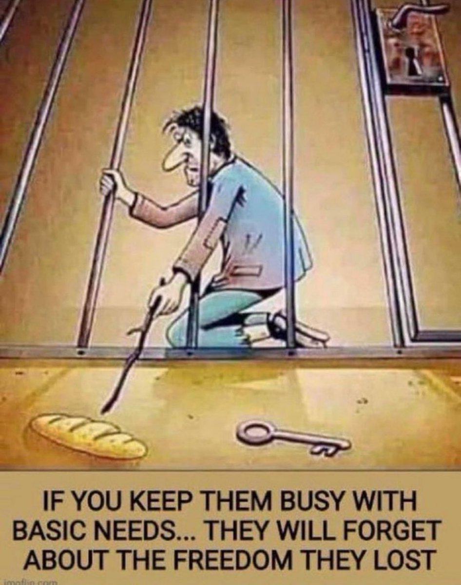 EconomicWoes 🤖 tweet media