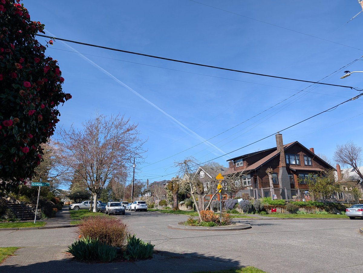 Ray Ting 雷霆 🔜 FWA tweet media