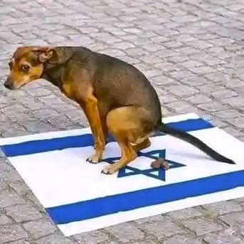 LarryNilson's tweet photo. @jewishstarlight @MarkJCarney https://t.co/FoOEAtwz3S